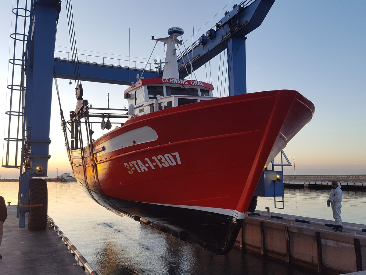 Imagen de Capitol 11 - 2017